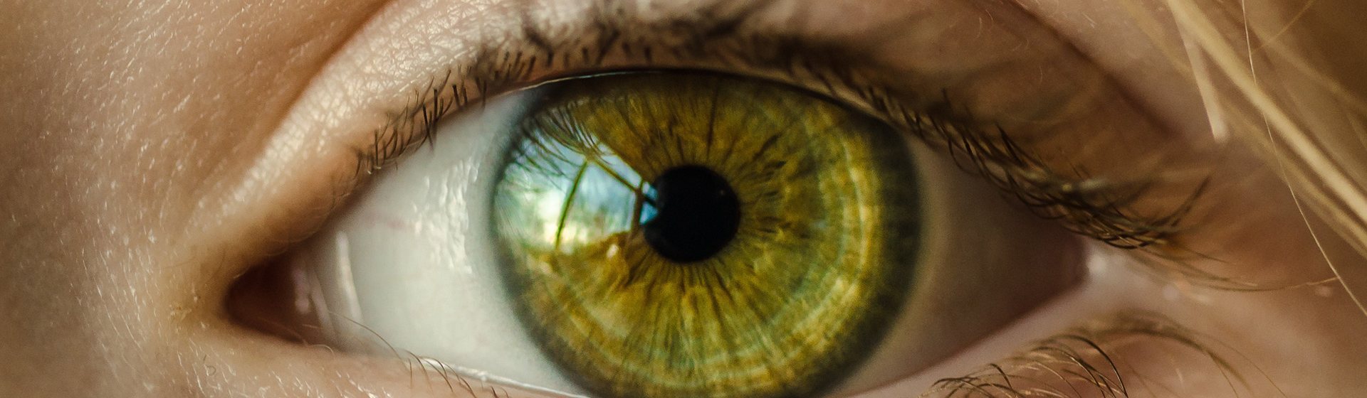 Gros plan sur un œil à l’iris vert